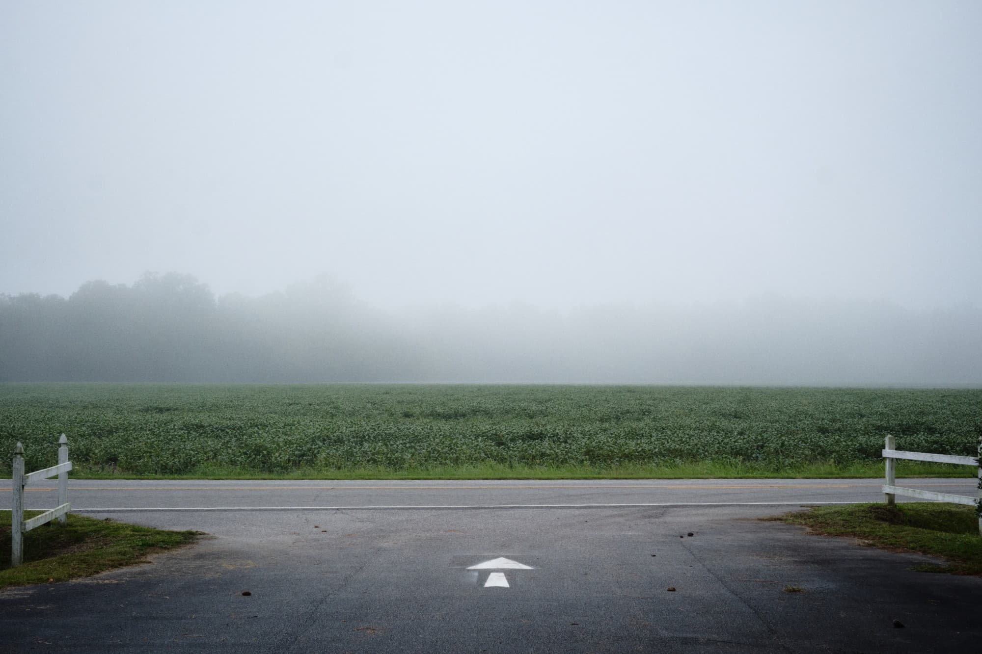 A driveway arrow pointing across a country road into a field and fog